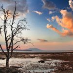 West Bali National Park - Jembrana