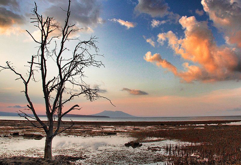 West Bali National Park - Jembrana