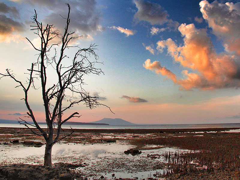 West Bali National Park - Jembrana